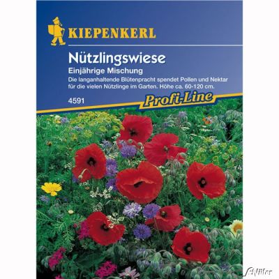 Nützlingswiese 'Mischung einjähriger Arten' Nützlingswiese 'Mischung einjähriger Arten'