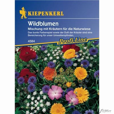Wildblumen mit Kräutern Wildblumen mit Kräutern