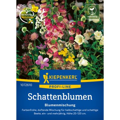 Schattenblumen 'Mischung'