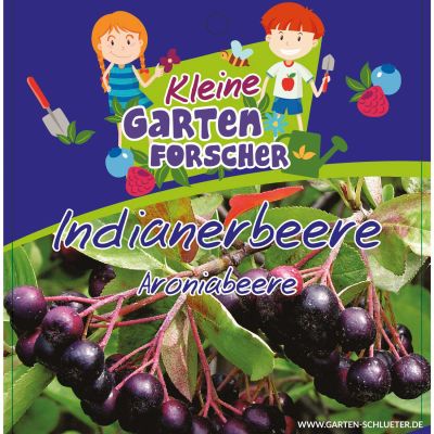 Apfelbeere 'Indianerbeere' Kleine Gartenforscher Apfelbeere 'Indianerbeere' Kleine Gartenforscher