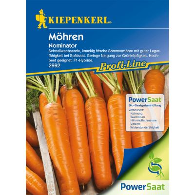 Möhre 'Nominator' Portionssaatgut Möhre 'Nominator' Portionssaatgut