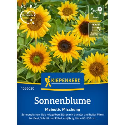 Sonnenblumen 'Majestic Mix'
