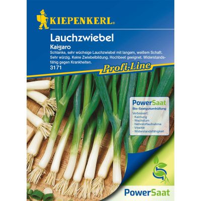 Lauchzwiebel 'Kaigaro' - Powersaat Lauchzwiebel 'Kaigaro' - Powersaat