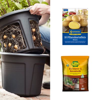 Kartoffel Grow-Set 'Belana'