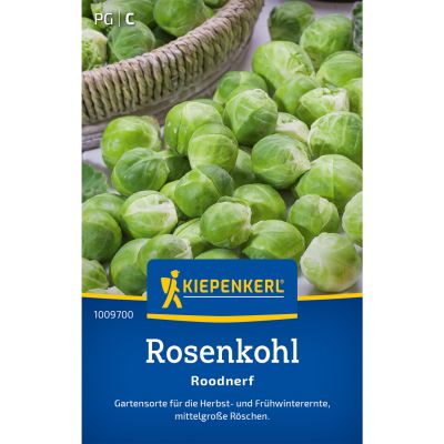 Rosenkohl 'Roodnerf' Portionssaatgut