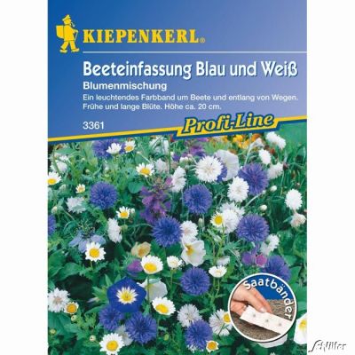 Beeteinfassungsmischung 'Blau und Weiß'