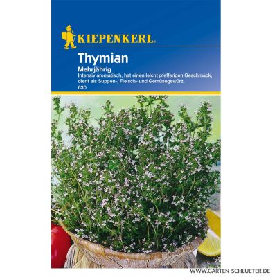 Thymian Mehrjährig Thymian Mehrjährig