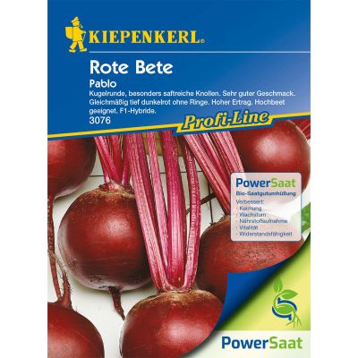 Rote Beete 'Pablo' Rote Beete 'Pablo'