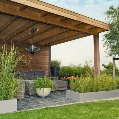 Chinaschilf 'Gold Breeze'