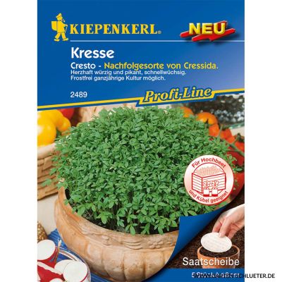 Kresse 'Cresto' Saatscheibe Kresse 'Cresto' Saatscheibe