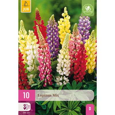 Lupinen 'Mix'