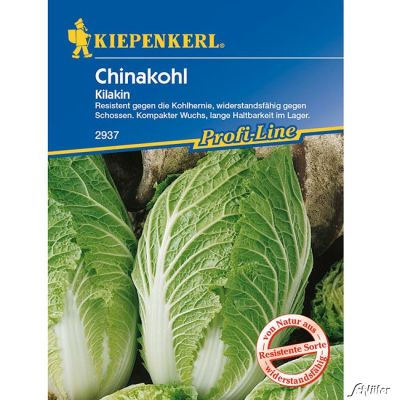 Chinakohl 'Kilakin' F1 Chinakohl 'Kilakin' F1