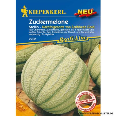Zuckermelone 'Stellio' F1 Zuckermelone 'Stellio' F1