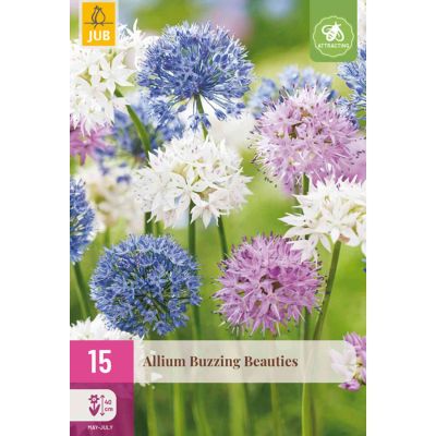 Allium-Mix 'Buzzing Beauties®' - 15 Stück