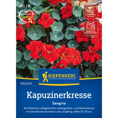 Kapuzinerkresse 'Sangria'
