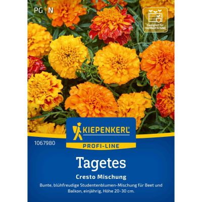 Tagetes 'Cresto Mix'
