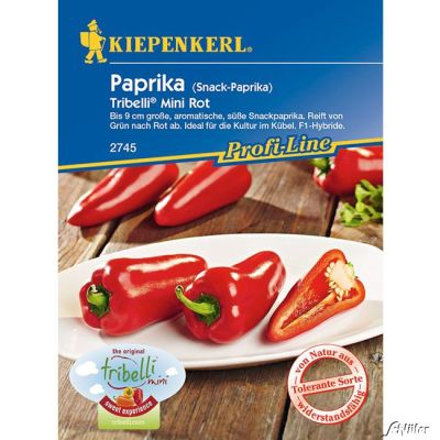 Mini-Snackpaprika 'Tribelli® Mini Rot' Mini-Snackpaprika 'Tribelli® Mini Rot'
