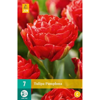 Gefüllte frühe Tulpe 'Pamplona' - 7 Stück Gefüllte frühe Tulpe 'Pamplona' - 7 Stück
