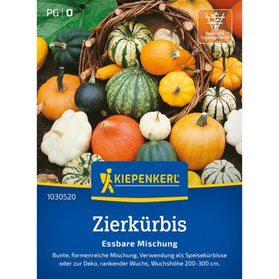 Zierkürbis 'Essbare Mischung'