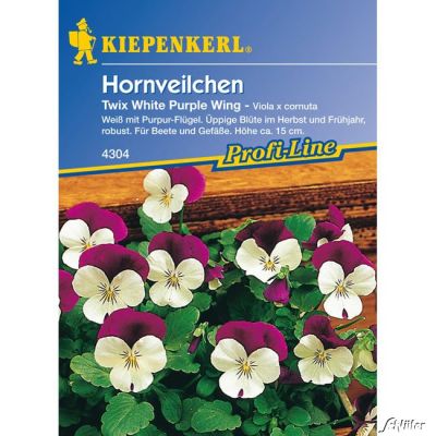 Hornveilchen 'Twix White Purple Wing' Hornveilchen 'Twix White Purple Wing'