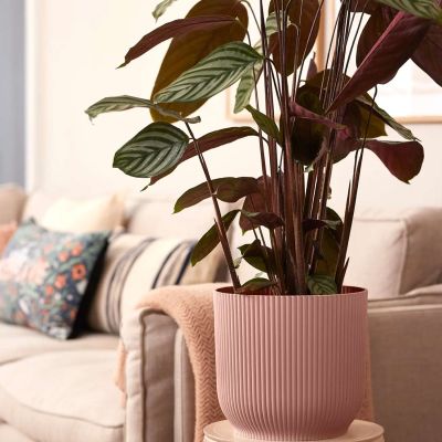 Indoor-Blumentopf 'Vibes Fold Rund' mit Rollen Indoor-Blumentopf 'Vibes Fold Rund' mit Rollen