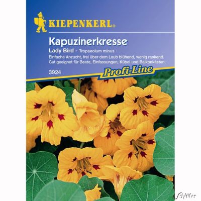 Kapuzinerkresse 'Lady Bird' Kapuzinerkresse 'Lady Bird'