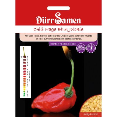 Chili 'Naga Bhut Jolokia' Chili 'Naga Bhut Jolokia'