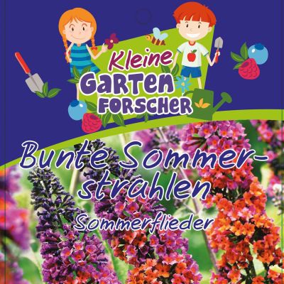 Sommerflieder 'Bunte Sommerstrahlen' Kleine Gartenforscher Sommerflieder 'Bunte Sommerstrahlen' Kleine Gartenforscher