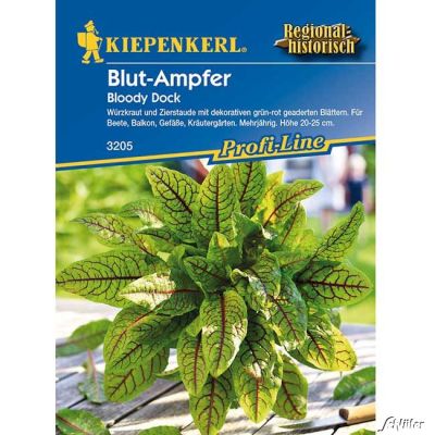Blutampfer 'Bloody Dock' Blutampfer 'Bloody Dock'